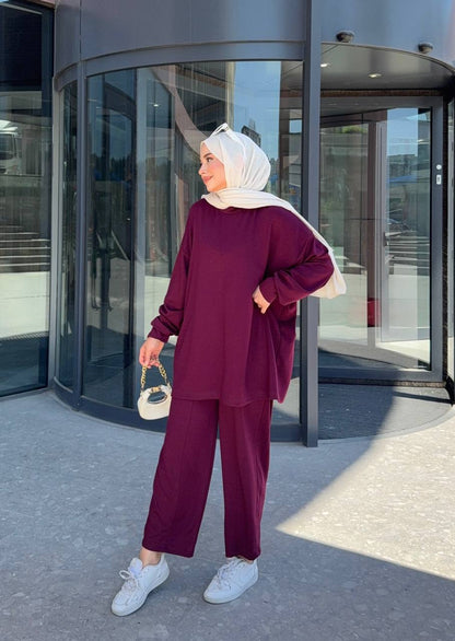 1013 Almira Takım