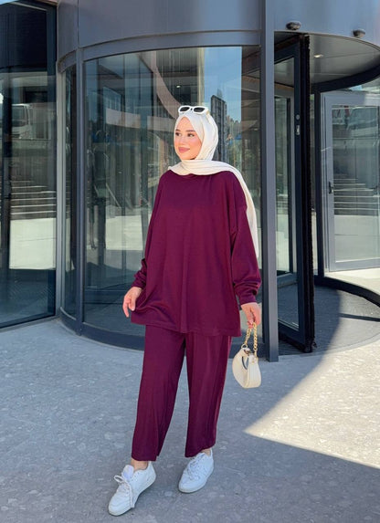 1013 Almira Takım