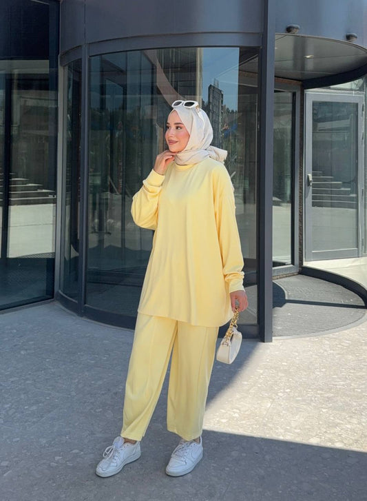 1013 Almira Takım